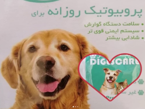 داروخانه دامپزشکی پاستور تبریز - پروبیوتیک سگ