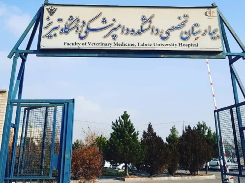 بیمارستان دانشکده دامپزشکی تبریز