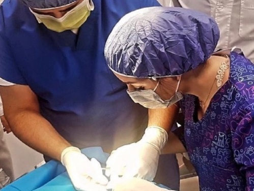 کلینیک دامپزشکی دکتر افروز توکلی در زاهدان