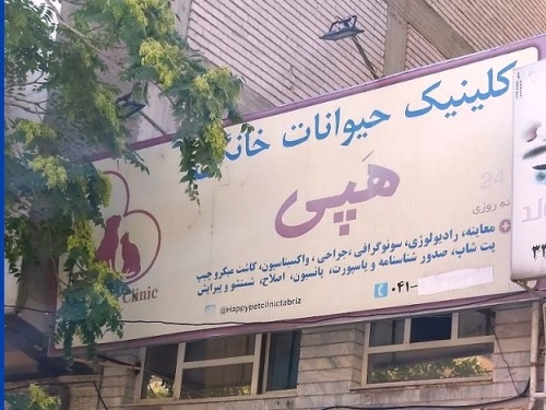 کلینیک دامپزشکی هپی (دکتر عبدی) در تبریز