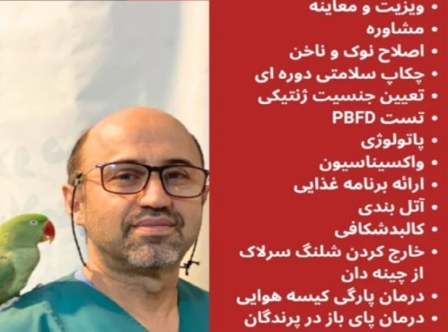 کلینیک دامپزشکی تخصصی پرندگان دکتر مددی در تبریز