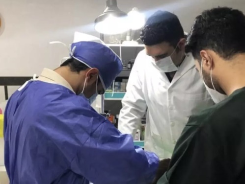کلینیک دامپزشکی دکتر سرفرازی در بهشهر