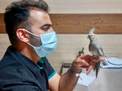 دکتر الماسی | دامپزشک متخصص پرنده در تهران