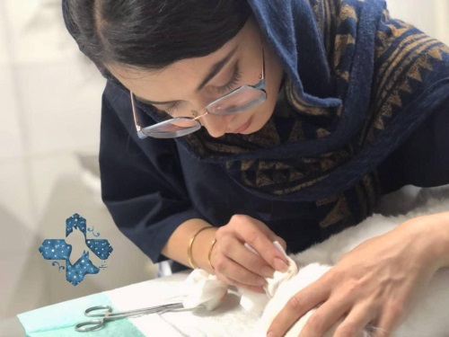 دامپزشکی سیار دکتر شهاب در پردیس و شرق تهران