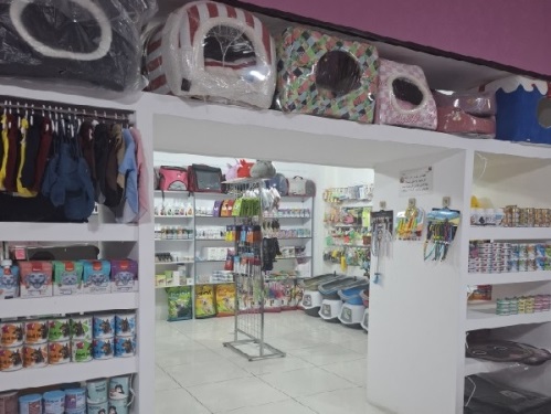 کلینیک دامپزشکی لارپت در شهر جدید لار