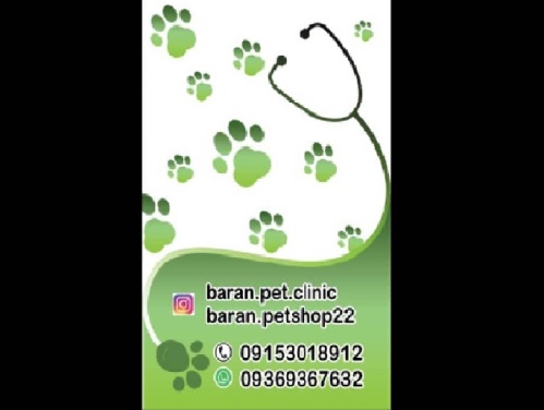 کلینیک دامپزشکی اختصاصی دامهای کوچک باران در تربت حیدریه