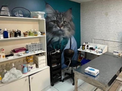 کلینیک دامپزشکی نگاه در مشهد