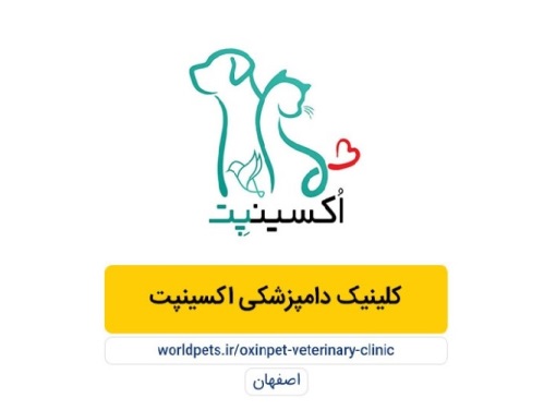 کلینیک دامپزشکی اکسینپت در اصفهان