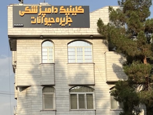 کلینیک دامپزشکی جزیره حیوانات در اکباتان