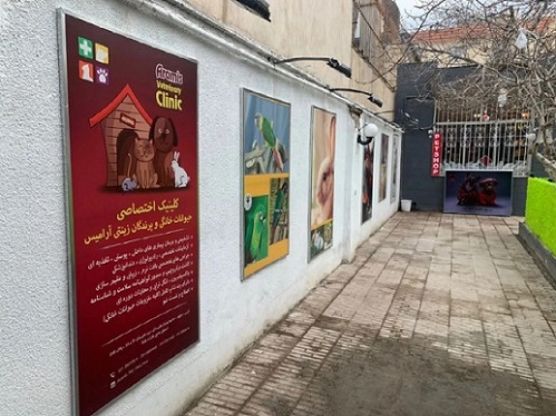 کلینیک تخصصی دامپزشکی حیوانات خانگی و پرندگان آرامیس درمشهد