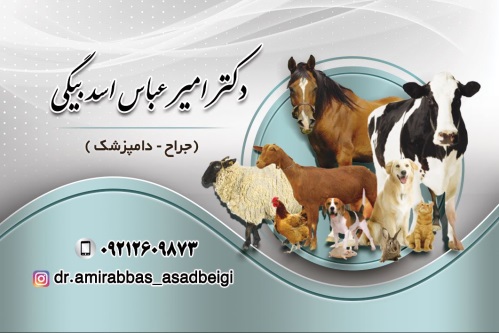 کلینیک دامپزشکی دکتر اسدبیگی نهاوند همدان