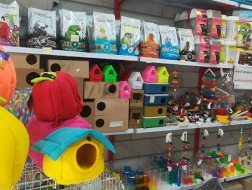 اطلاعات کامل پت شاپ دهکده قناری نارمک + آدرس ، تلفن، اینستاگرام، لوکیشن و ... 