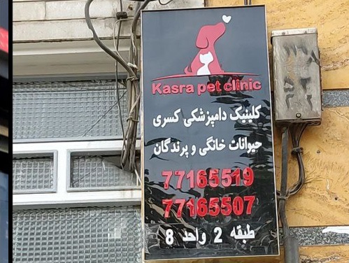 اطلاعات کامل کلینیک دامپزشکی و پت شاپ کسری پیروزی + آدرس، تلفن، اینستاگرام، لوکیشن