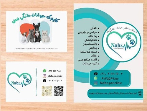 کلینیک اختصاصی حیوانات خانگی نبض تبریز  + آدرس، تلفن، تصاویر، لوکیشن و ... 