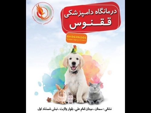 اطلاعات کامل دامپزشکی و پت شاپ ققنوس سمنان + آدرس، تلفن، اینستاگرام و ...