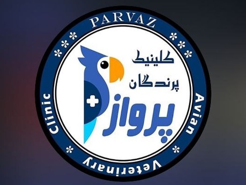 کلینیک پرندگان پرواز در قم ثبت شده در پت لینک همراه با آدرس و اطلاعات کامل