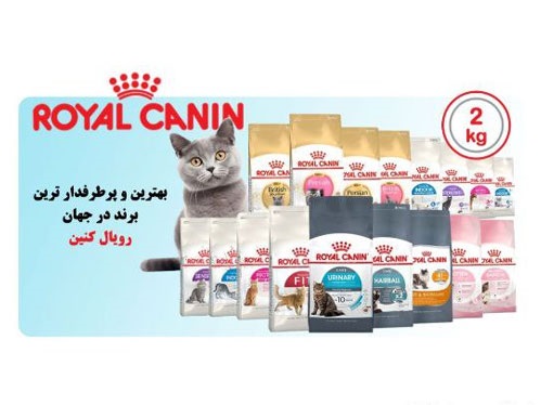 اطلاعات کامل پت شاپ آنلاین ماتیا در پت لینک