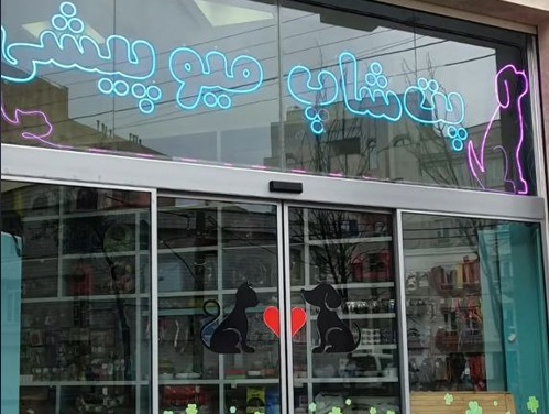 پت شاپ میوپیشی اردبیل شعبه اول در petlinkk