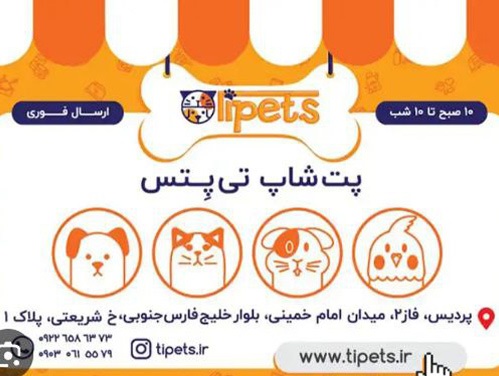 پت شاپ تی پتس پردیس همراه با تلفن تماس، آدرس ، لوکیشن مستقیم و اینستاگرام 