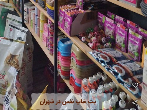 اطلاعات کامل  پت شاپ نفس در شهران + آدرس، تلفن، لوکیشن ، اینستاگرام و ...