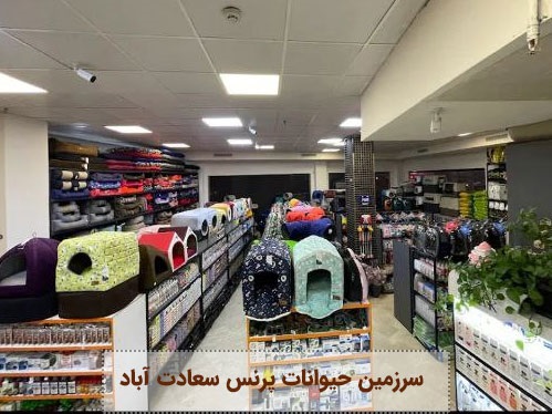 پت شاپ سرزومین حیوانات سعادت آباد | پت لینک 