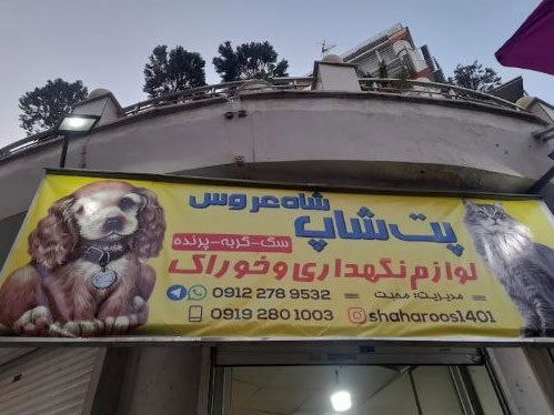  پت شاپ شاه عروس در نارمک + آدرس ، تلفن تماس، لوکیشن ، اینستاگرام و .