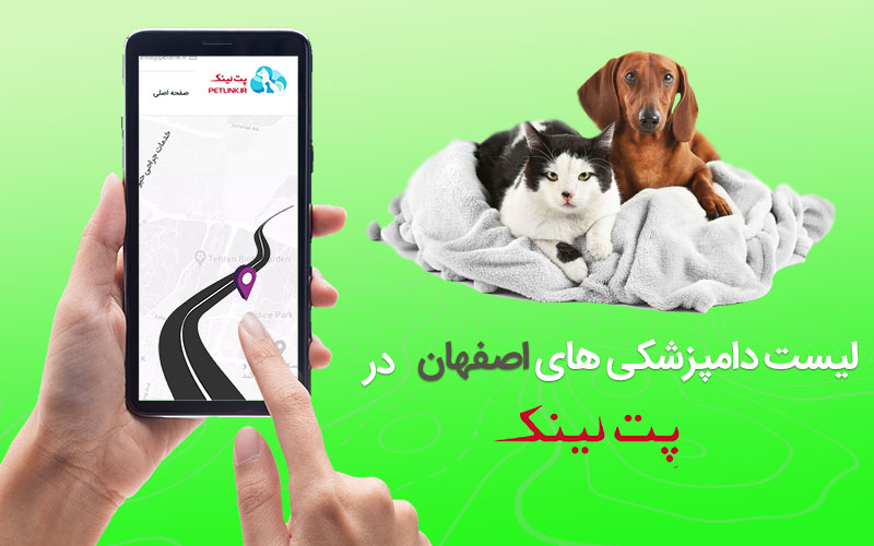 لیست کلینیک های دامپزشکی در اصفهان  | petlink