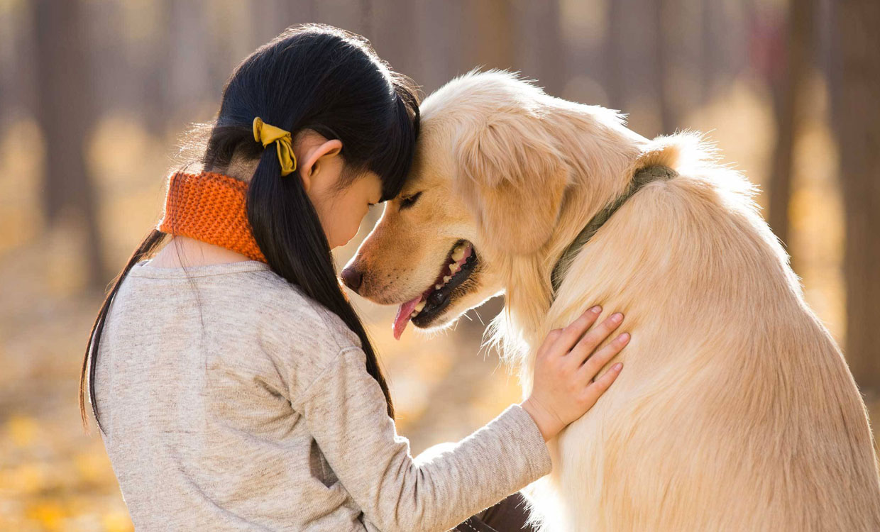 بیماری های قابل انتقال از سگ به انسان | پت لینک