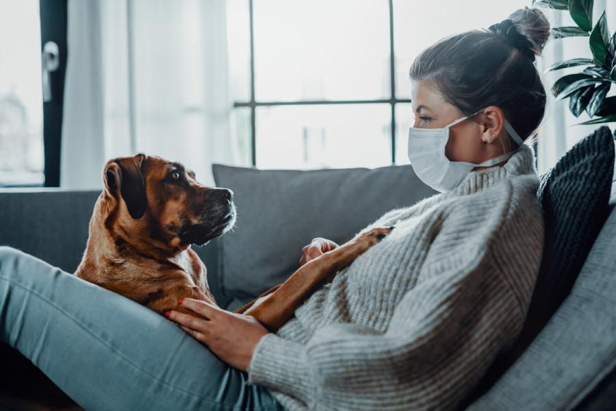 پیشگیری از انتقال بیماریها از سگ به انسان | بیماریهای مشترک انسان و سگ