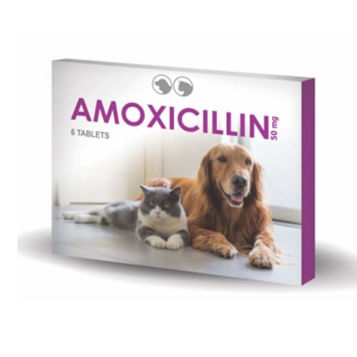 عوارض Amoxicillin | عوارض انتی بیوتیک برای سگ