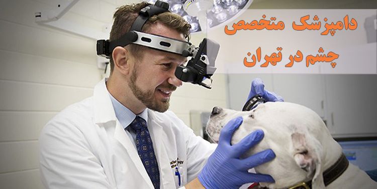 دامپزشک متخصص چشم در تهران - Veterinary Ophthalmologist