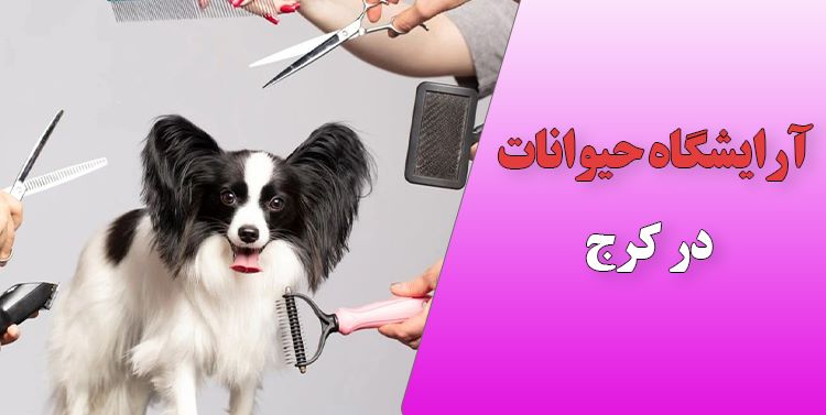 آرایشگاه سگ و گربه در کرج | اصلاح مو و شستشوی حیوانات