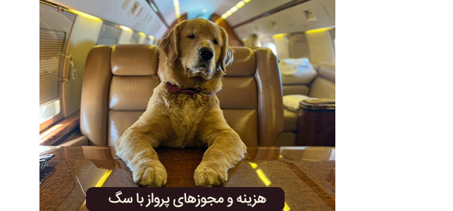 هزینه ی جا به جایی سگ با هواپیما + مجوزهای مورد نیاز
