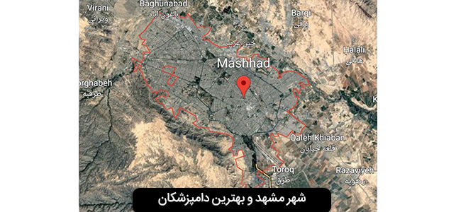 بهترین دامپزشکی در مشهد کدام است؟ همراه با تلفن و آدرس 