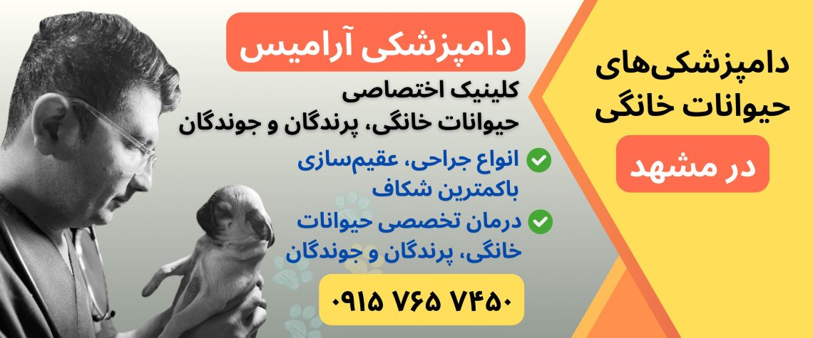 کلینیک دامپزشکی آرامیس در مشهد