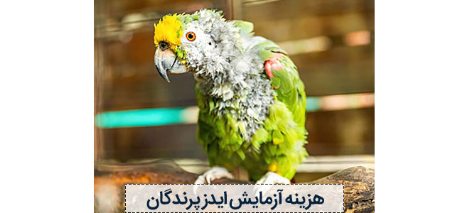 هزینه آزمایش ایدز پرندگان | انواع طوطی و عروس هلندی