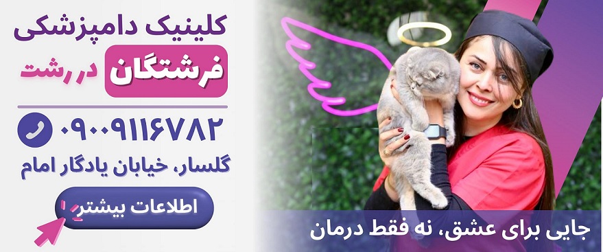 لیست دامپزشکیهای رشت