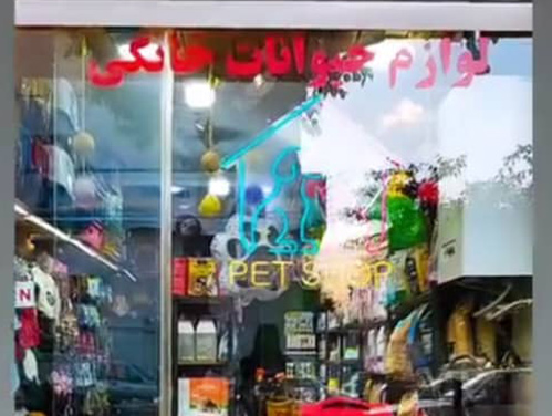پت شاپ شاتوت در نارمک | پت لینک لیست پت شاپ های نارمک