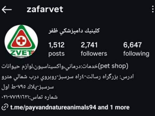 فروشگاه پت و کلینیک دامپزشکی ظفر چهارراه سرسبز