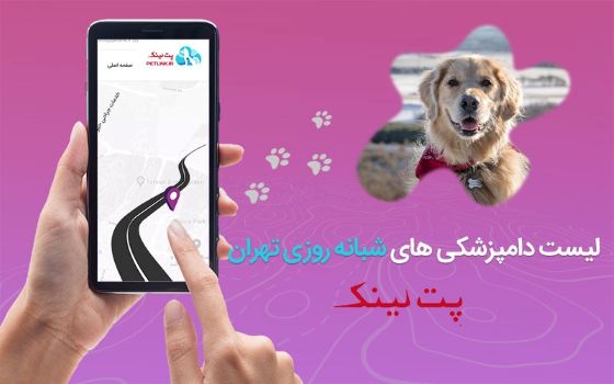 لیست کامل دامپزشکی های شبانه روزی تهران 