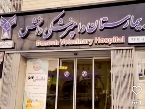 پت شاپ شبانه روزی دانش در سعادت آباد | پت شاپ های شبانه روزی تهران