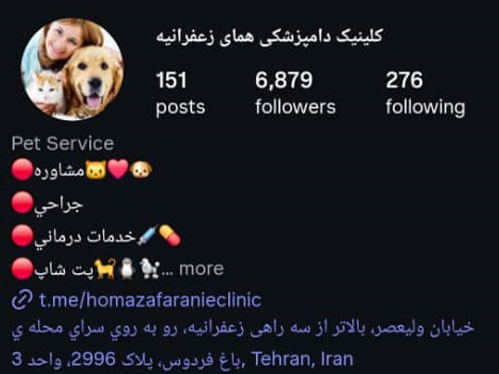 پت شاپ تخصصی شبانه روزی همای در زعفرانیه تهران