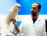 کلینیک تخصصی پرندگان مرکزی (دکتر مرندی) در آزادی تهران