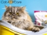 خاک گربه کت کر (catcare)