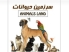 اطلاعات کامل پت شاپ سرزمین حیوانات قزوین + آدرس، تلفن ، لوکیشن